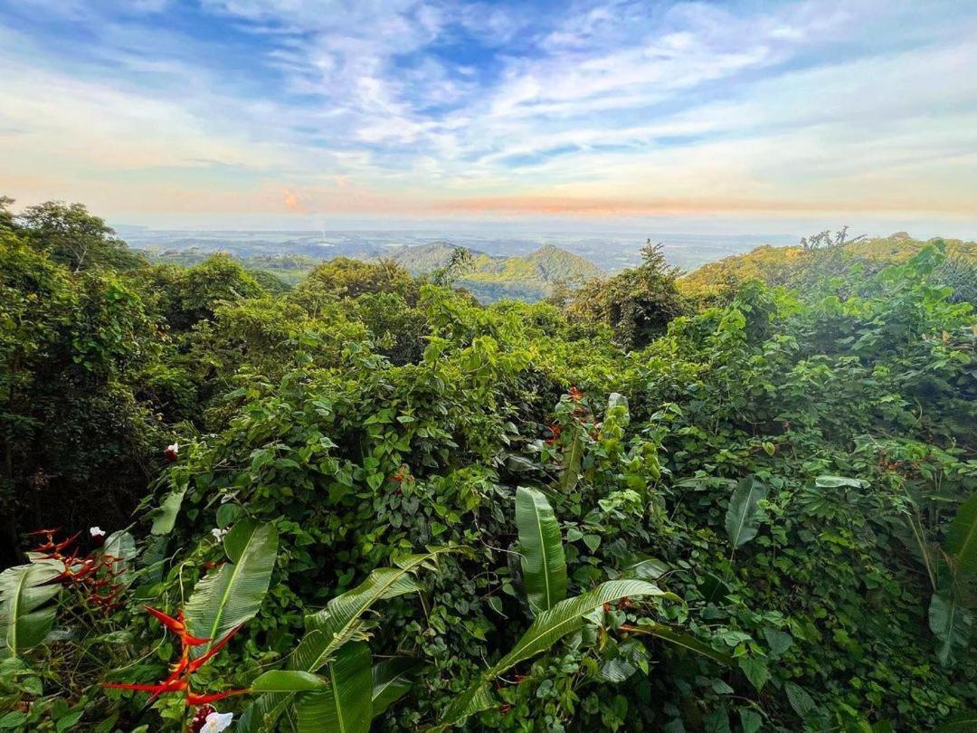 Domos Mirador Romantic Private Honeymoon Glamping Miramar ภายนอก รูปภาพ