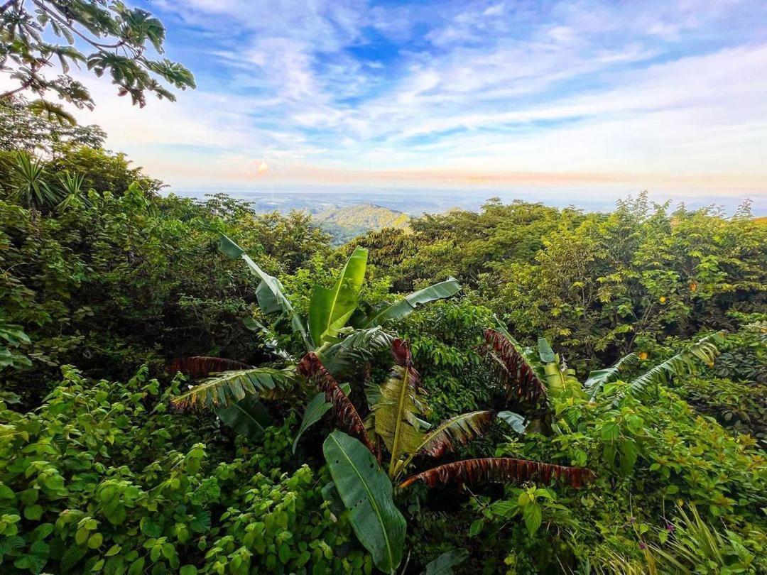 Domos Mirador Romantic Private Honeymoon Glamping Miramar ภายนอก รูปภาพ